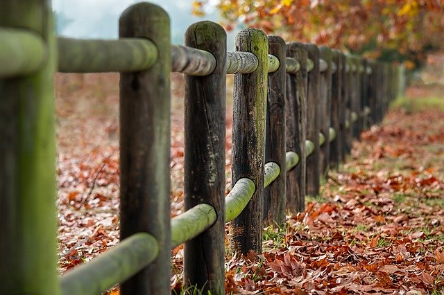 dřevěný plot